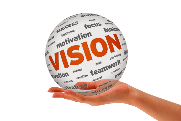 vision